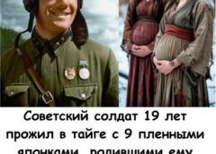Советский сержант исчез с 9 японскими пленными на 19 лет: что нашли в тайге спустя почти два десятилетия?