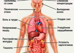 Как хронический стресс влияет на организм: 12 тревожных сигналов, которые нельзя игнорировать